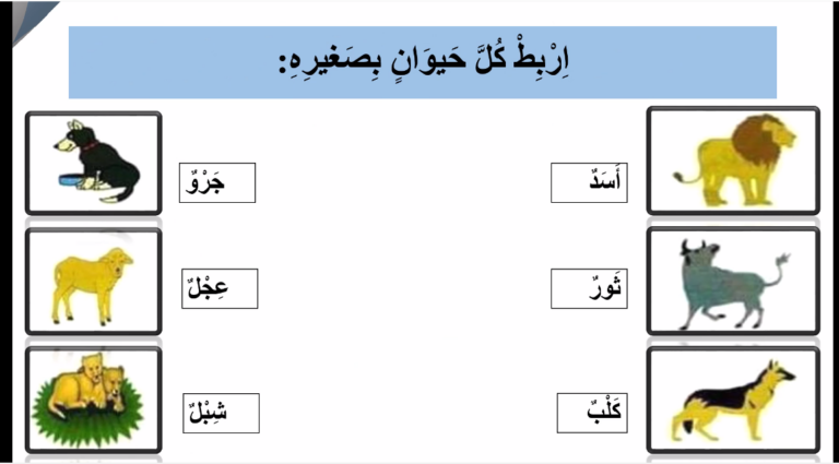 تقويم ودعم الوحدة الرابعة القرية والمدينة