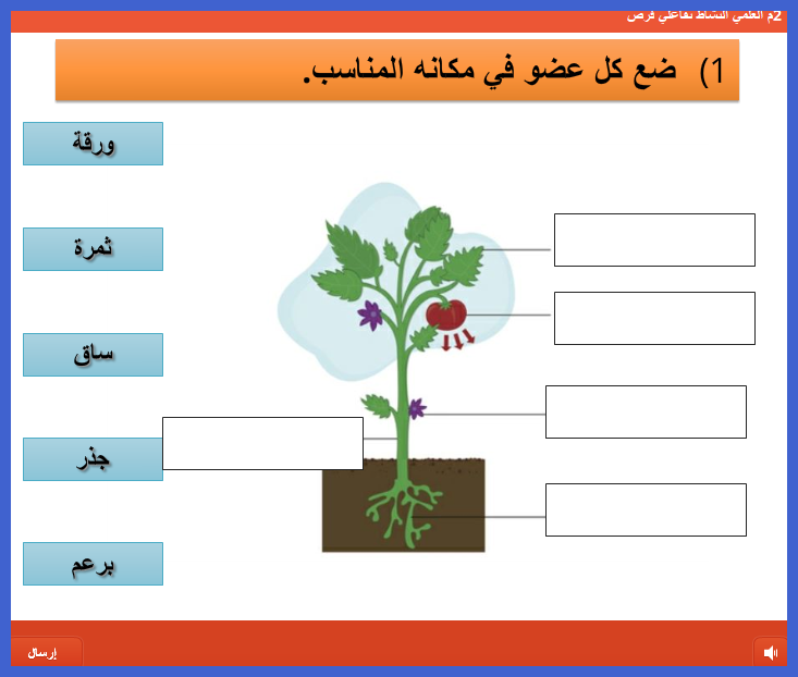 اختبارات تقويمية