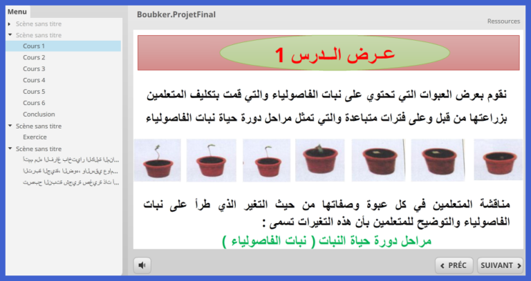 دورة حياة النباتات