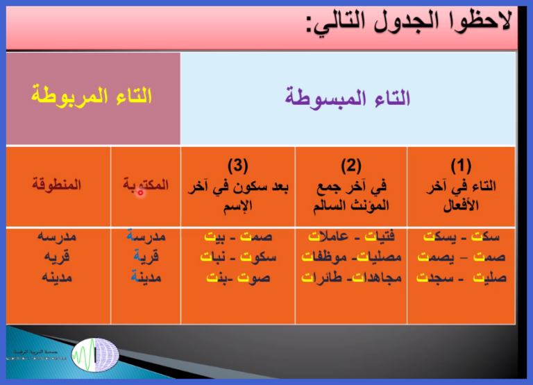 التاء المربوطة والتاء المبسوطة