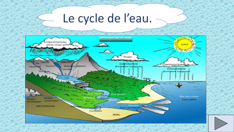 le cycle de l’eau