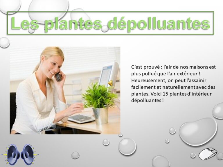 Les plantes dépolluantes