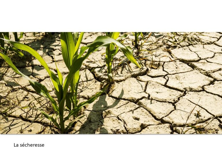 L’eau, Notre richesse